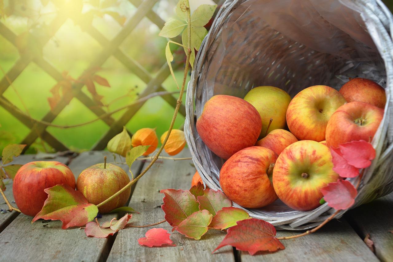 8 korzyści zdrowotnych płynących z jabłek
